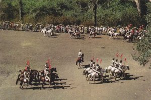 Pasukan-Berkuda-Orang-Orang-Timor-Portugis-Yang-Menjadi-Tentara-Portugal-